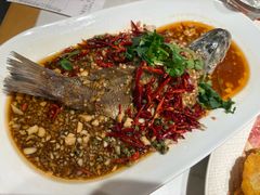 -杨氏青龙虾·羊蝎子(托乐嘉店)