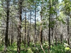 -白草畔自然风景区