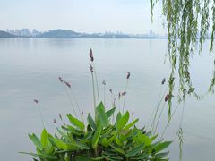 -东湖磨山景区
