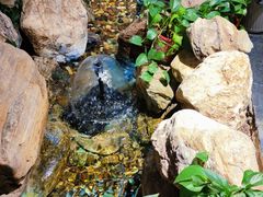 -清真·京华源铜锅涮肉(丰庆店)