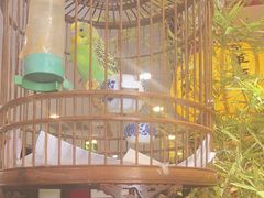 -清真京华源·涮肉烧烤(丰庆店)