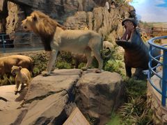 -陕西自然博物馆