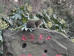 -南京市江宁方山