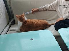-小时光咖啡馆(北锣鼓巷店)