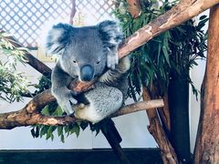 -费瑟代尔野生动物园