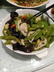 -沈阳新都绿城喜来登酒店·宴会厅