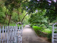 景点-三水森林公园