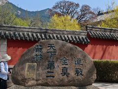 -青岛崂山太清宫