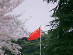 -武汉大学-樱园