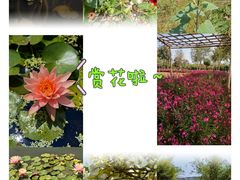 -厦门园林博览苑