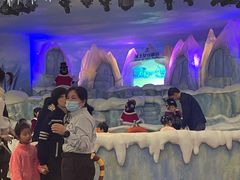 -帝企鹅自助餐厅•儿童岛•真企鹅(长隆企鹅酒店)