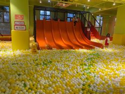 -宝燕乐园(闵行旗舰店)