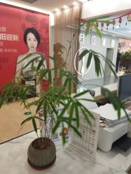 -归位瑜伽＆普拉提馆