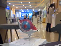 -武汉大学附属爱尔眼科医院(湖北总院)