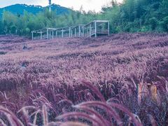 -瓷天下海丝谷