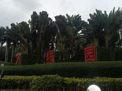 -万绿园
