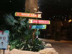 -杭州开元森泊度假乐园