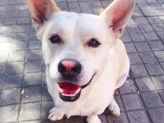 -二姐卤煮(南十里居店)