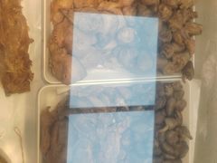 -京八珍(和平东桥店)