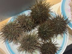 -赶海部落海鲜城(海阳路店)