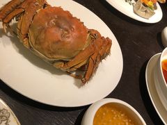 鸡油清汤蒸母梭蟹-甄御•海鲜新青岛菜(麦岛店)