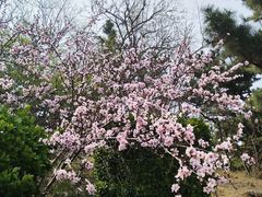 -贮水山儿童公园
