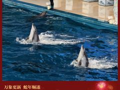 -泉城欧乐堡海洋极地世界