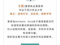 -安安宠医·臻爱宠物医院·宠保定点(营门口路分院)