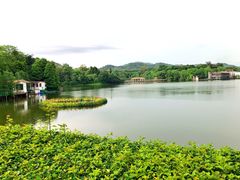 -广州雕塑公园
