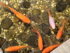 -邈墨茶馆(江南星座1店)