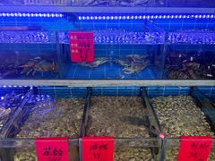 -金海湾海鲜排档(朱家尖店)