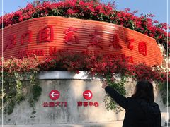 -广州市石门国家森林公园
