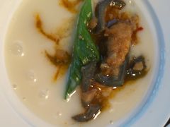 娃娃鱼粉丝-印象鲵宴·张家界地标美食名片(溪布街店)