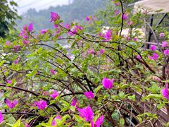 -伴山茶苑·围炉煮茶