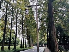 -青城山