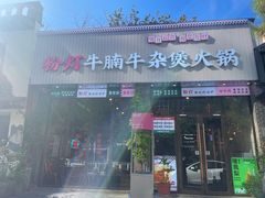 -粉灯牛腩牛杂煲·鸡煲(双井店)