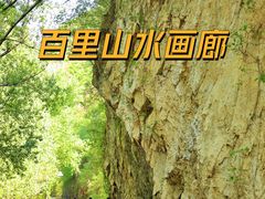 -百里山水画廊