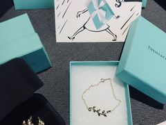 -Tiffany & Co.蒂芙尼
(武汉武商MALL店)