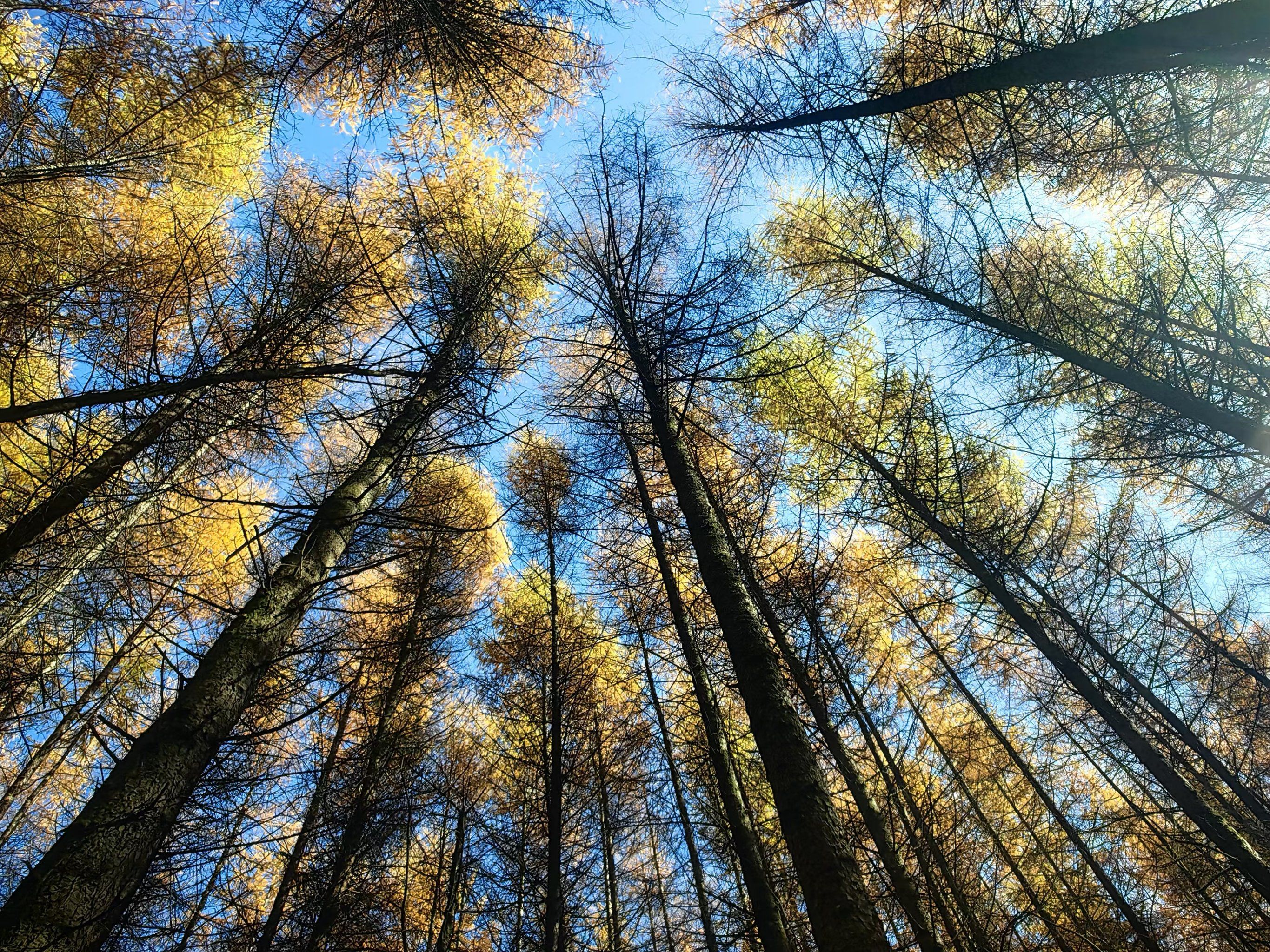 0元玩转这座城光雾山可真漂亮,美景让人难忘!