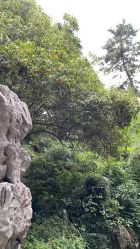 -杰爱月子护理中心