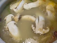 -金龙·打边炉(南京西路店)