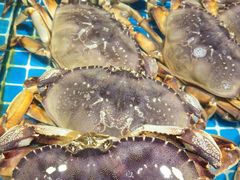 -三亚火车头万人海鲜广场