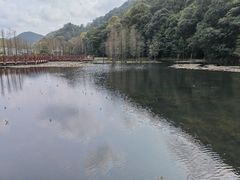 景点-广州市石门国家森林公园