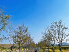 -光明小镇欢乐田园