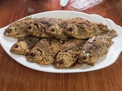 -独流饭店(静海区国土资源分局西)