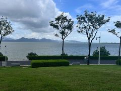 -深圳湾公园(南山区)