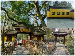 -灵隐飞来峰景区