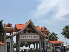 -大湾区中央湿地公园-十九涌