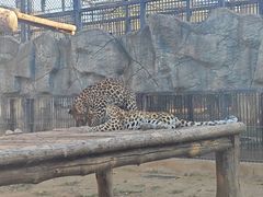 -辛玛王国游乐园