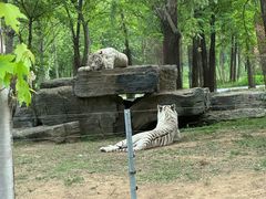 -秦皇岛野生动物园